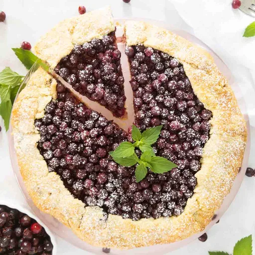 Serviceberry Galette (Rustic Pie)