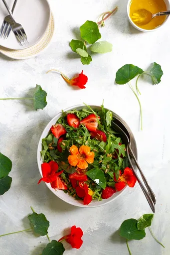 Ensalada de Capuchina