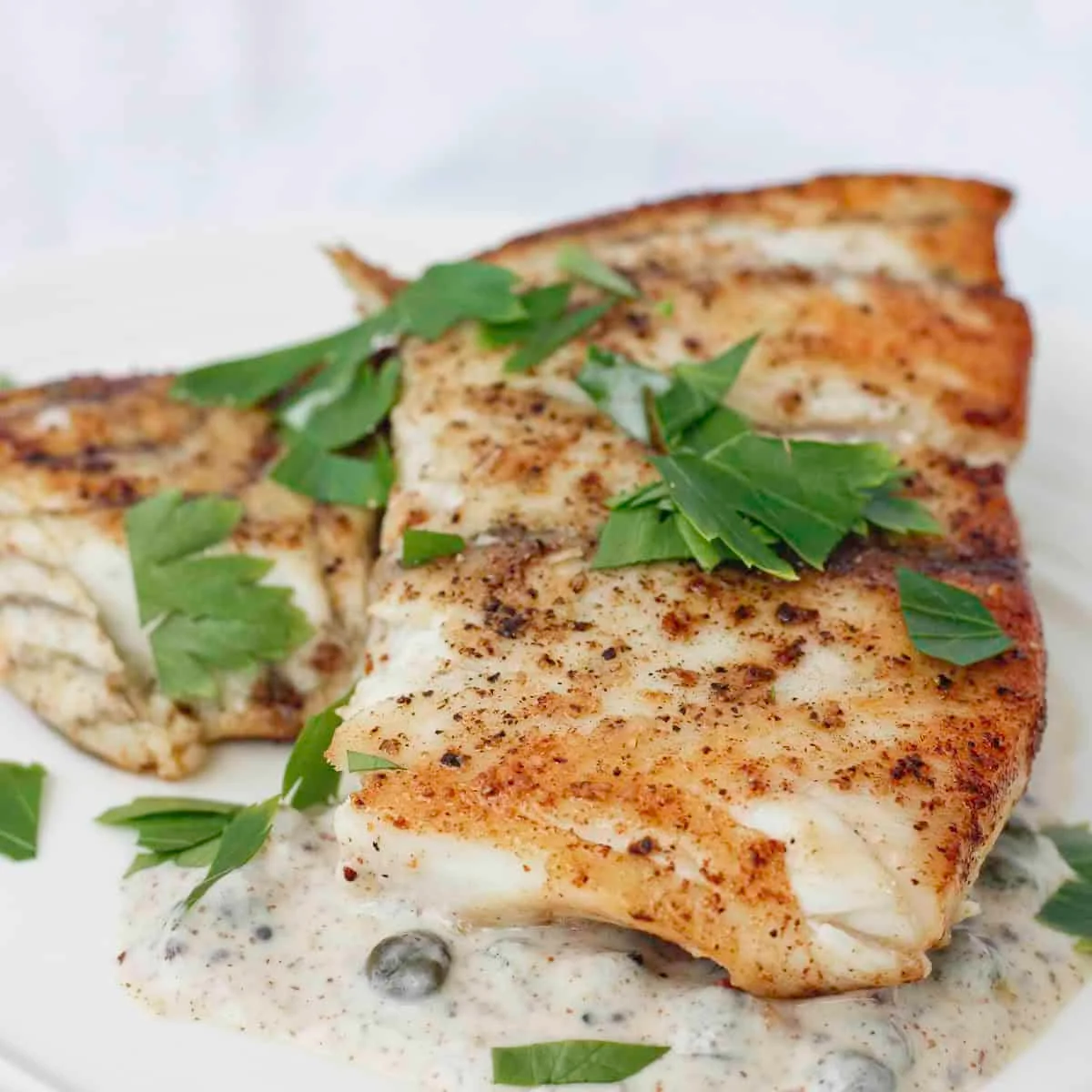 Barramundi Recipe: Seared Fish with Mustard Sauce