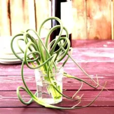Receta de Tallos de Ajo con Mantequilla y Limón