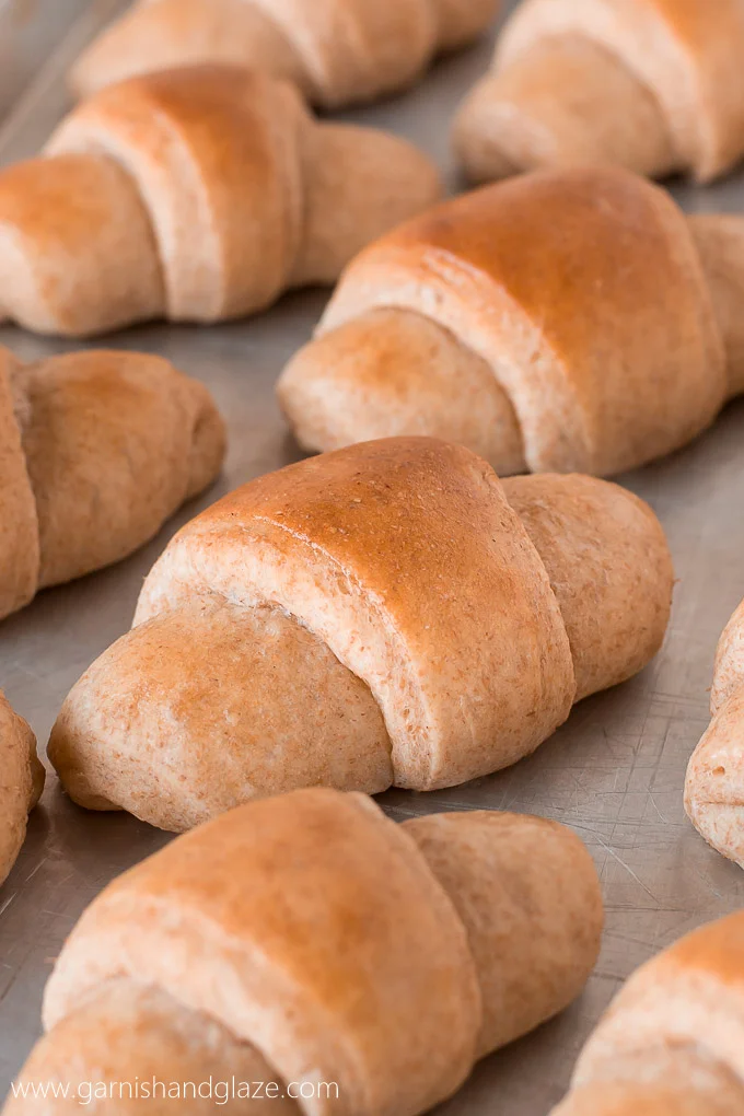 Whole Wheat Honey Dinner Rolls