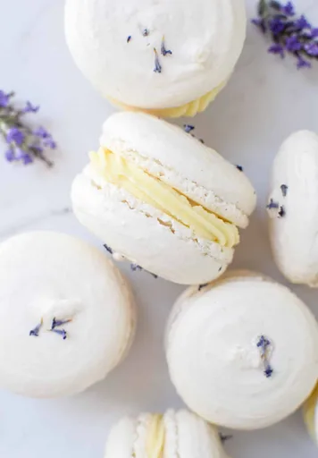 Lavender Macarons with Lemon & White Chocolate Ganache