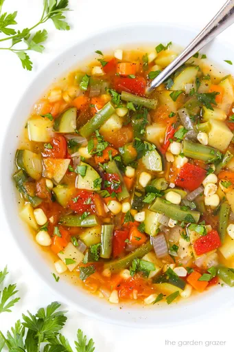 Garden Vegetable Soup