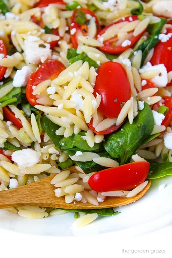 Orzo Spinach Feta Salad with Tomato (Easy!)
