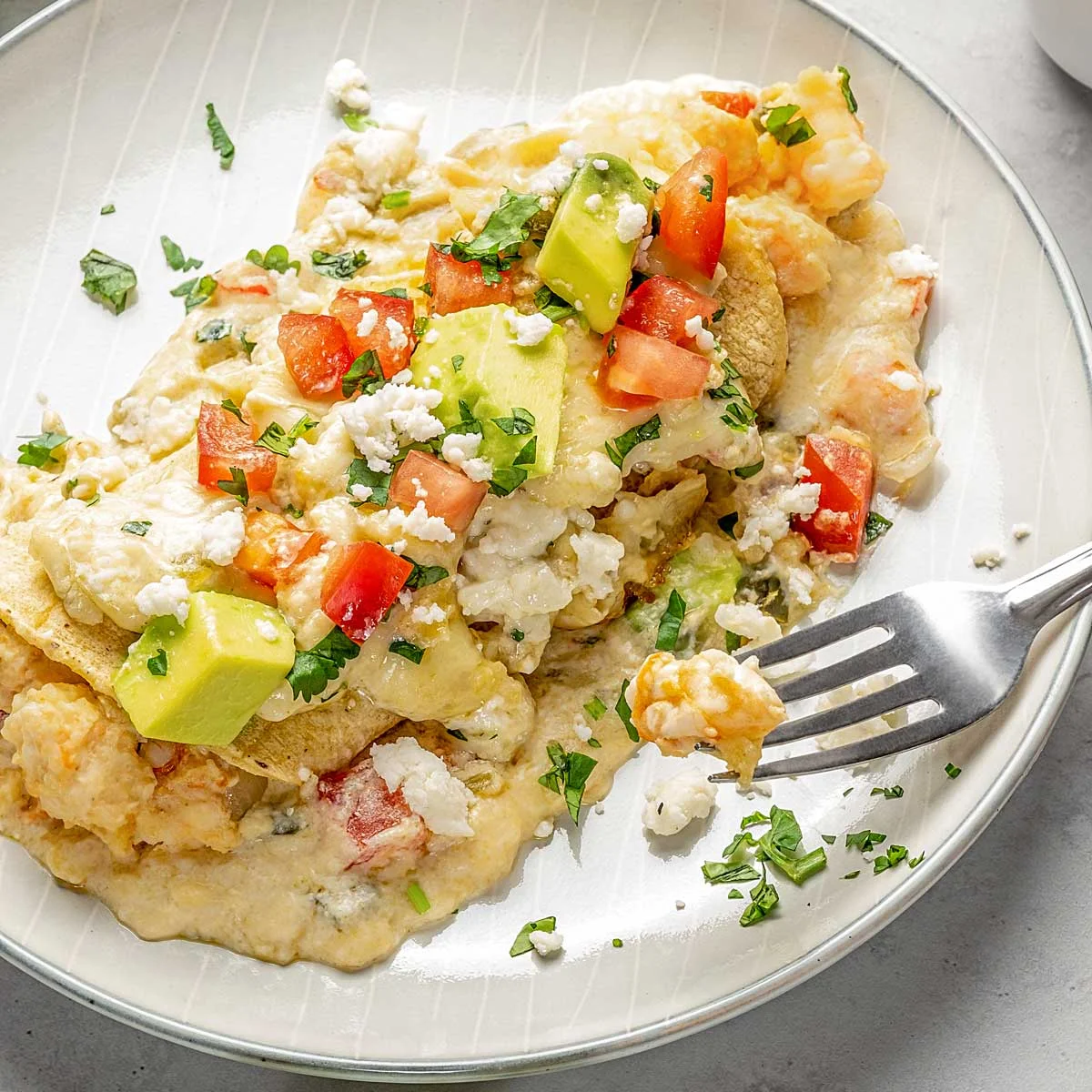 Creamy Shrimp Enchiladas