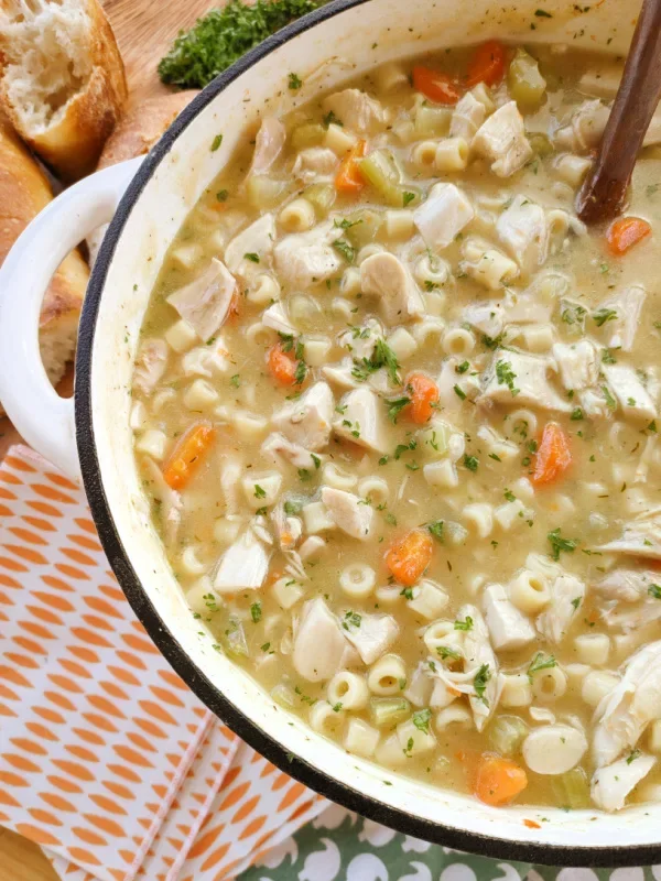 Chicken Noodle Stew