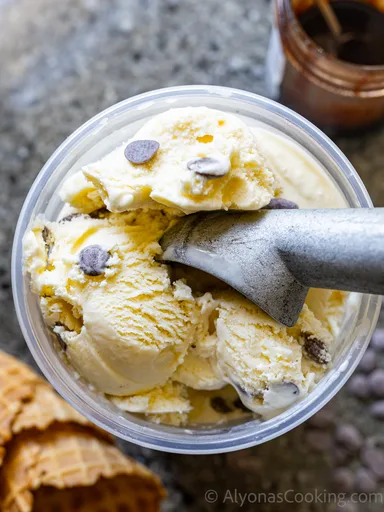 Mint Chocolate Chip Ice Cream Recipe