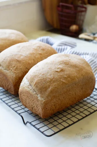 Whole Wheat Sourdough Sandwich Bread