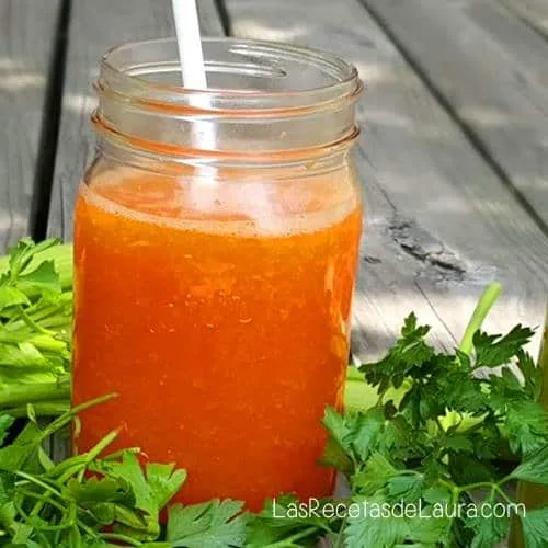AGUA DE PAPAYA Y KIWI