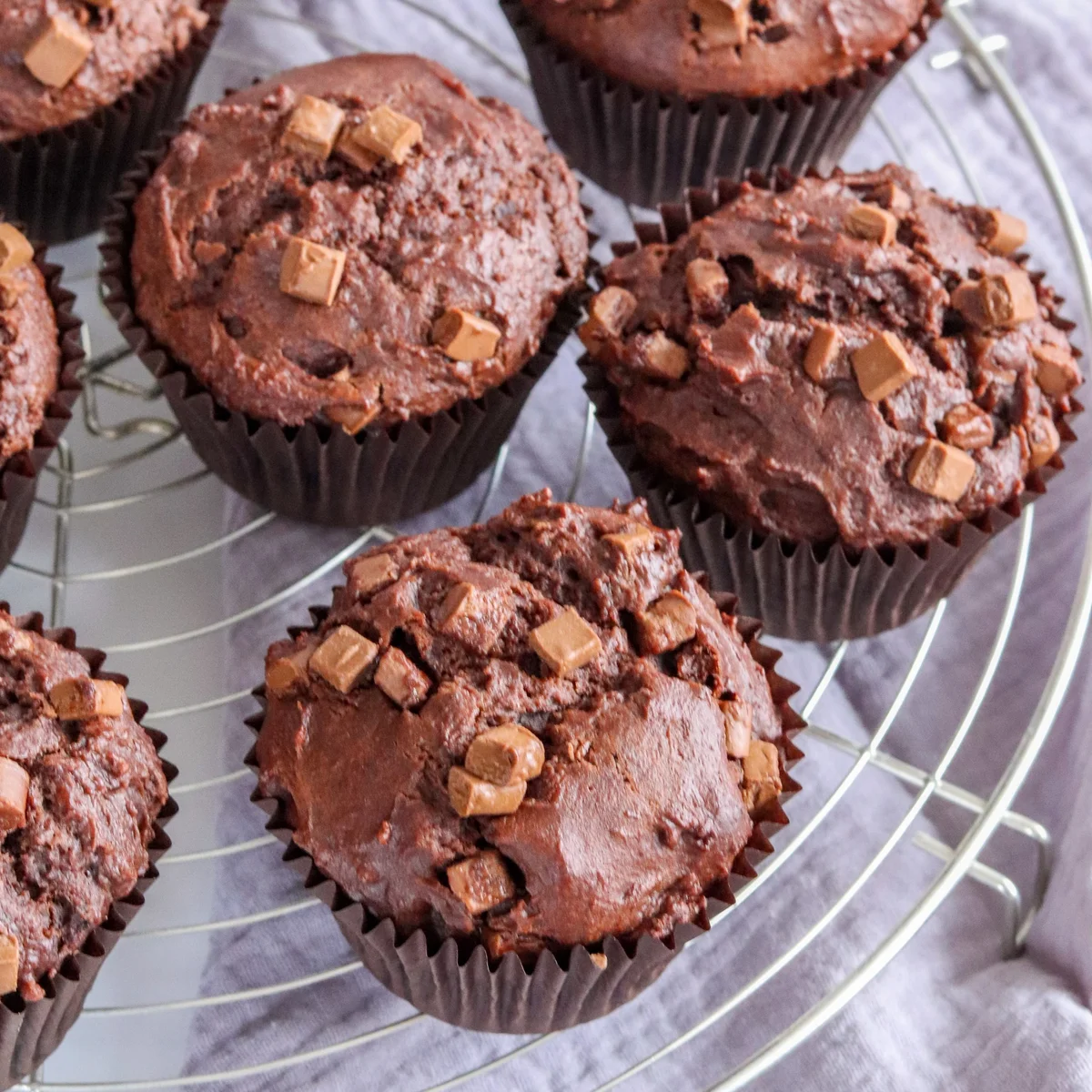 Double Chocolate Muffins