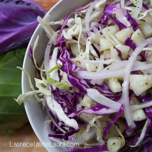 ENSALADA DE REPOLLO CON PEPINO