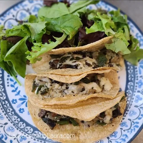 Tacos de portobello con queso