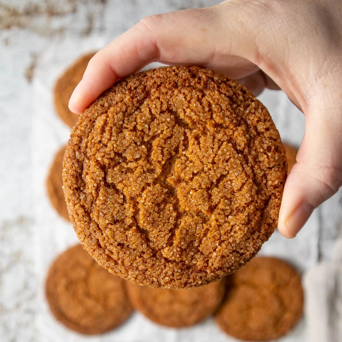 Ginger Biscuits