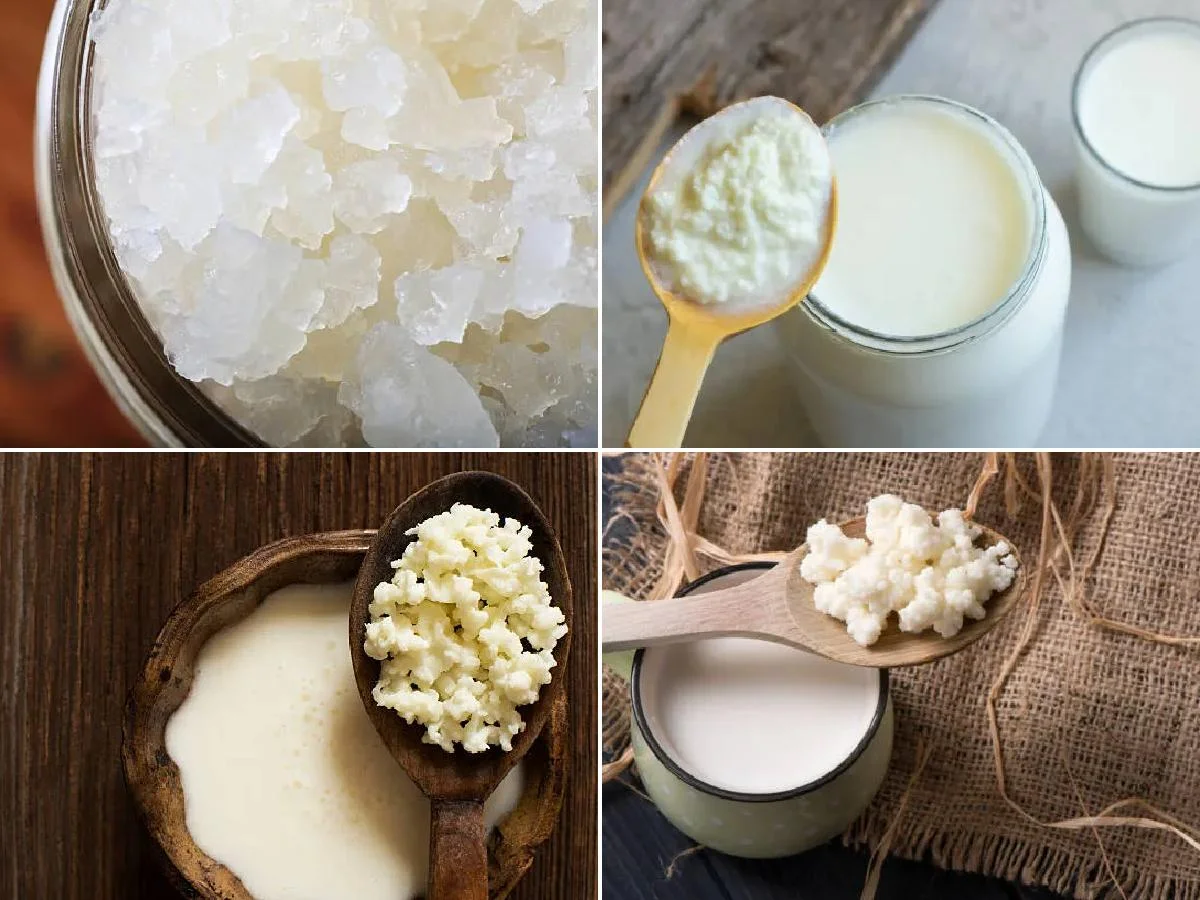 ¿Cómo hacer kéfir de agua?