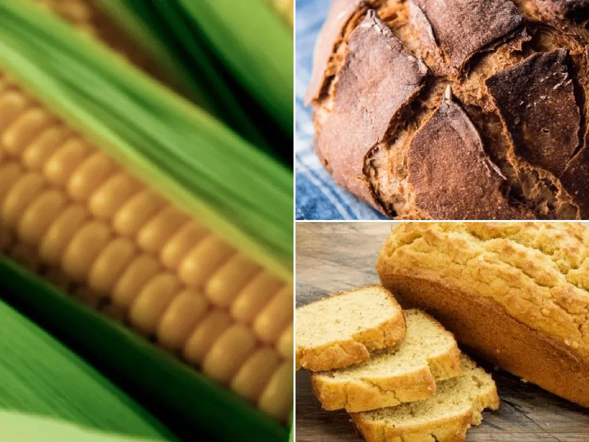Cómo hacer pan de maíz paso a paso