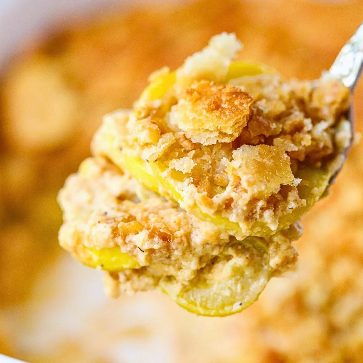 Southern Squash Casserole