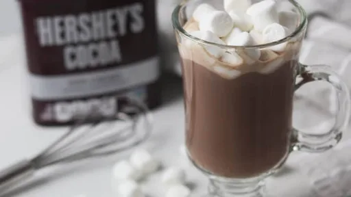 Sugar-Free Hot Chocolate (Low Calorie + Fat Free)