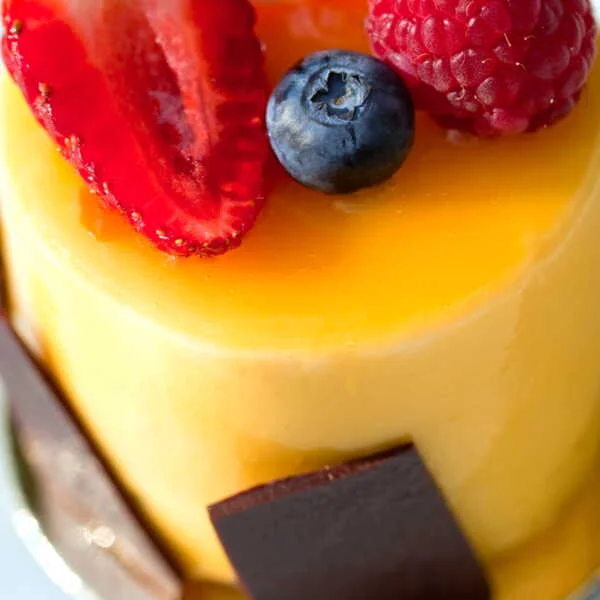Apricot bavarois