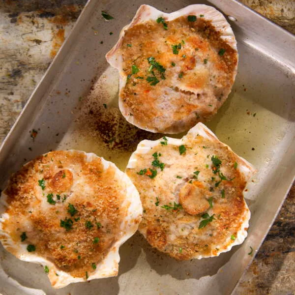 Saint-Jacques gratinées en coquilles