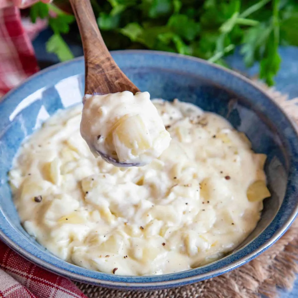 Easy Onion Sauce