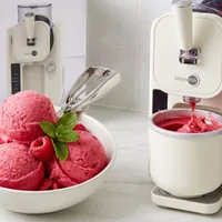 Homemade Fresh Raspberry Sorbet
