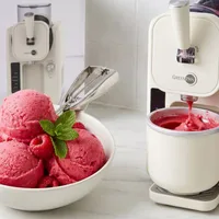 Homemade Fresh Raspberry Sorbet