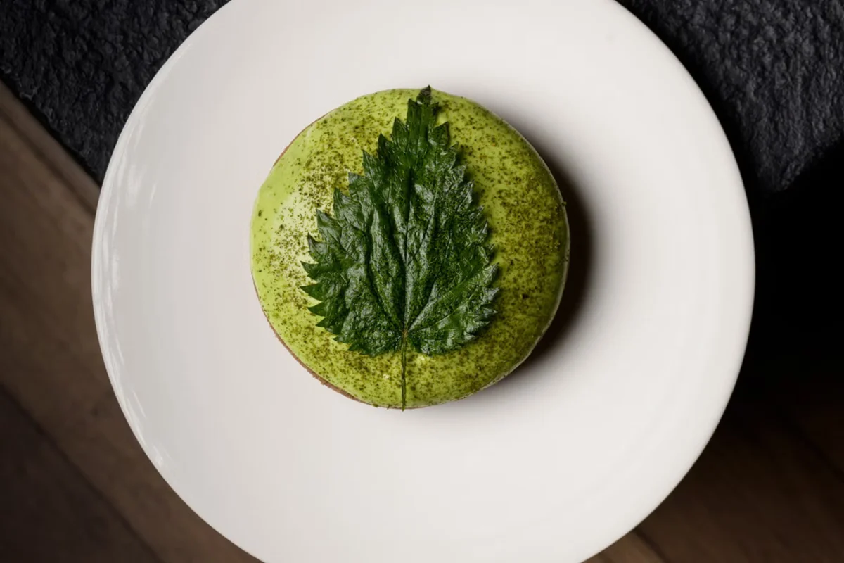 Tartelettes aux escargots et orties