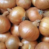 Smoked onions