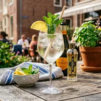 Hugo Spritz à l'eau gazeuse, au St Germain et au prosecco, garni d'un quartier de citron et d'un brin de menthe