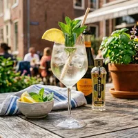 Hugo Spritz à l'eau gazeuse, au St Germain et au prosecco, garni d'un quartier de citron et d'un brin de menthe