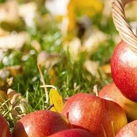 How to make homemade applesauce | super quick and healthy