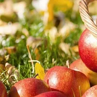 How to make homemade applesauce | super quick and healthy