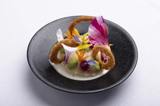 Pommade de pois chiches herbacés, petits pois, lait de poissons fumé