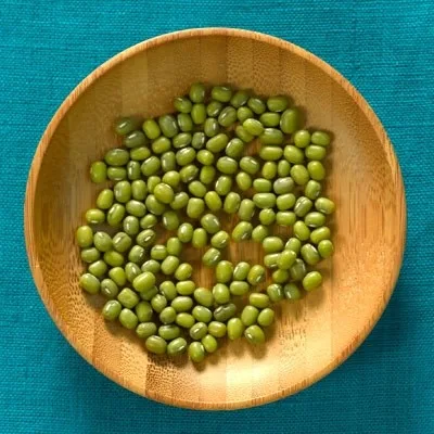 Mung Bean with Pablanos and Tomatillos