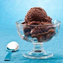 Simple Chocolate Sorbet