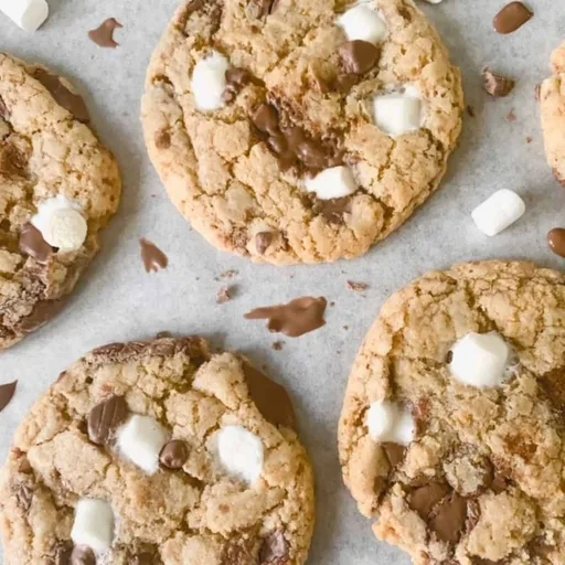 Biscotti s’mores senza glutine