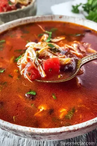 Mexican Chicken and Black Bean Soup