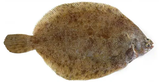 Steamed lemon sole