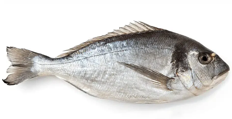 Oven-baked gilt-head bream with vegetables