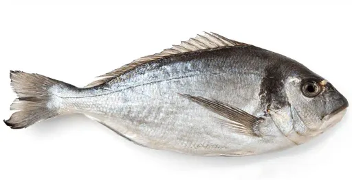 Oven-baked gilt-head bream with vegetables
