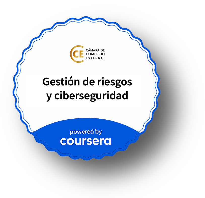 Insignia Coursera