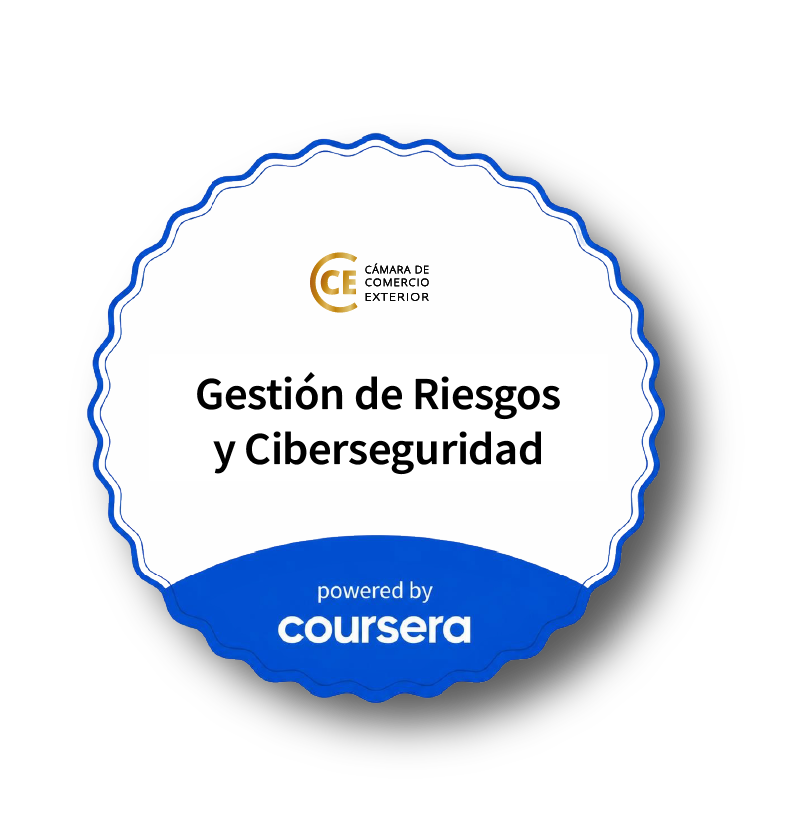 Insignia Coursera