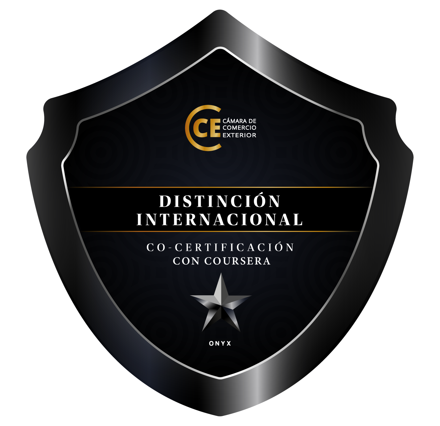 INSIGNIA DIGITAL