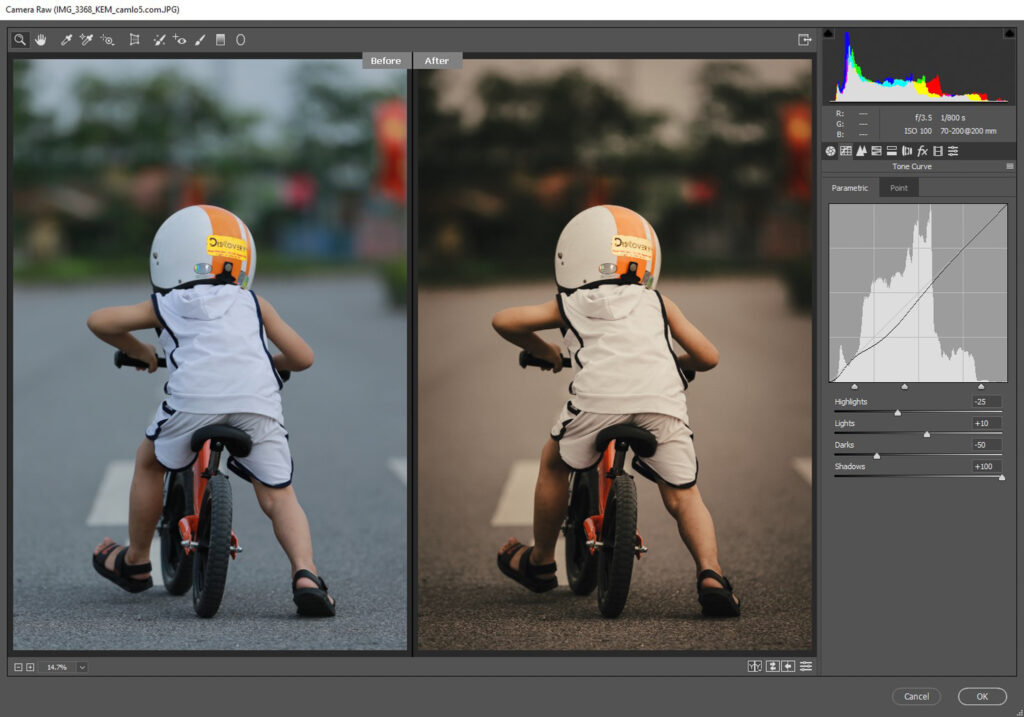 Ảnh chụp màn hình Tone Curve Tab - Preset Cinematic
