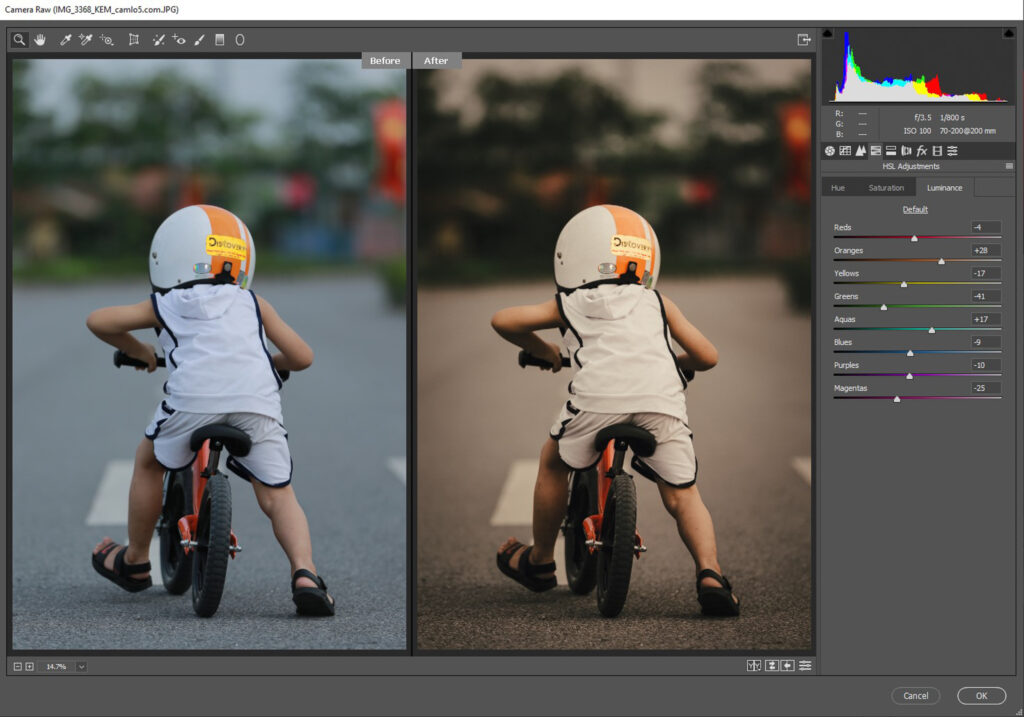 HSL Adjustment - Luminance