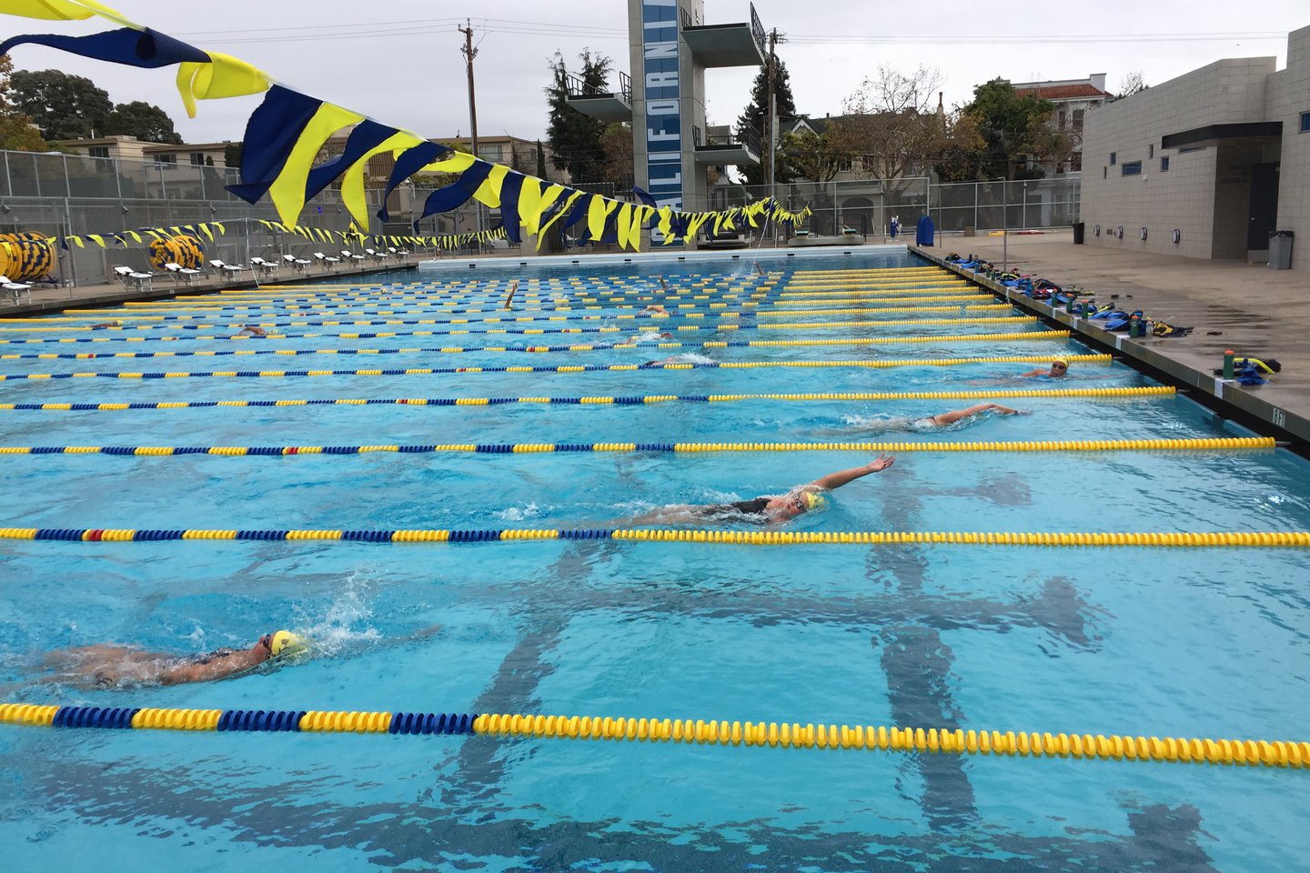 Photo of the new pool with blue-and-gold lane lines and athletes practicing in it.