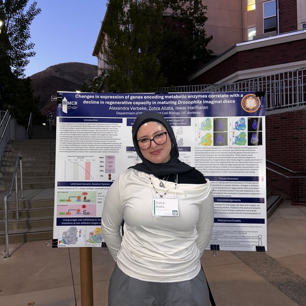 Research scholarships advance undergraduate acumen