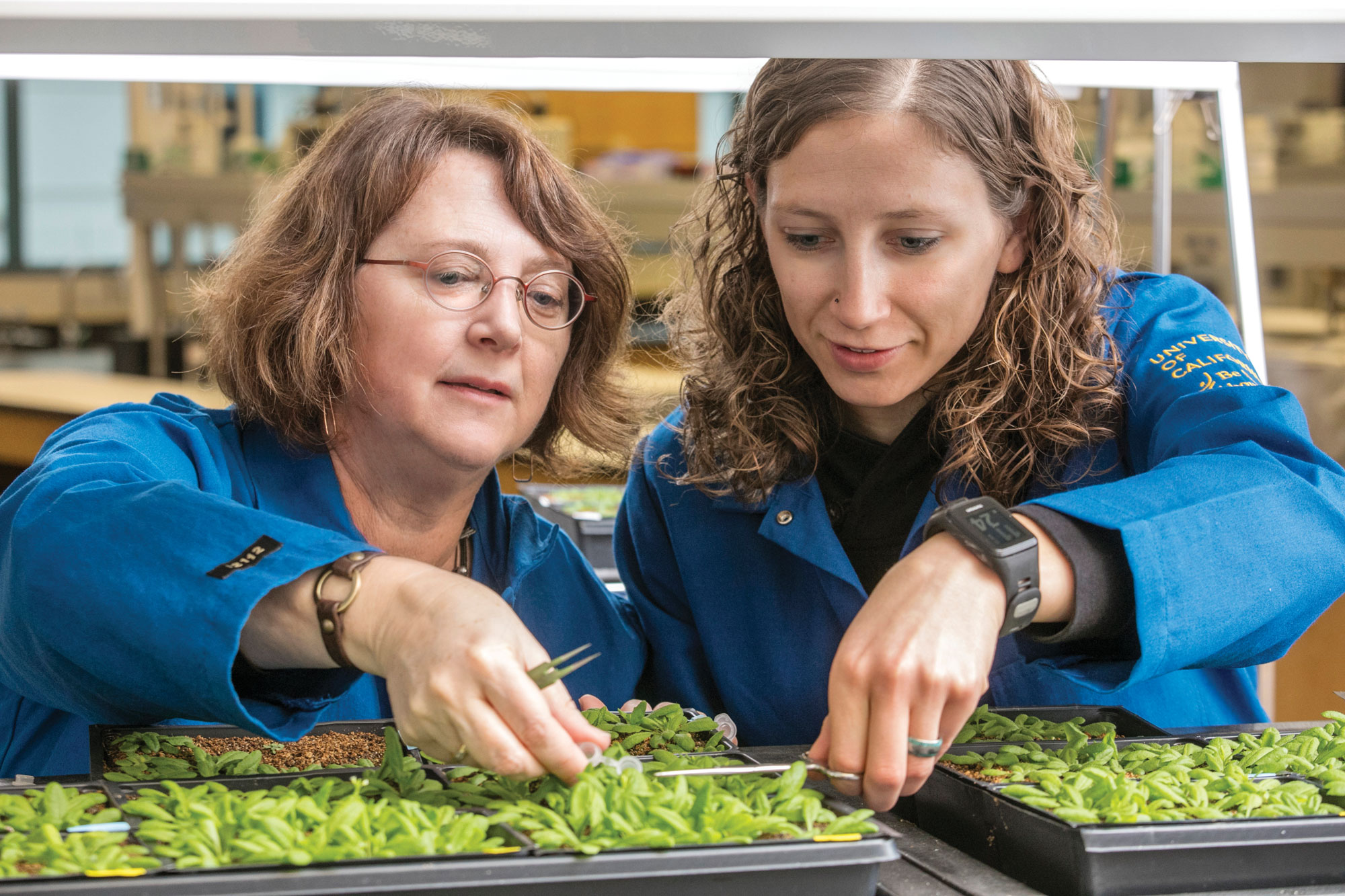 Photo of teacher and student handling plants in a well-lit lab