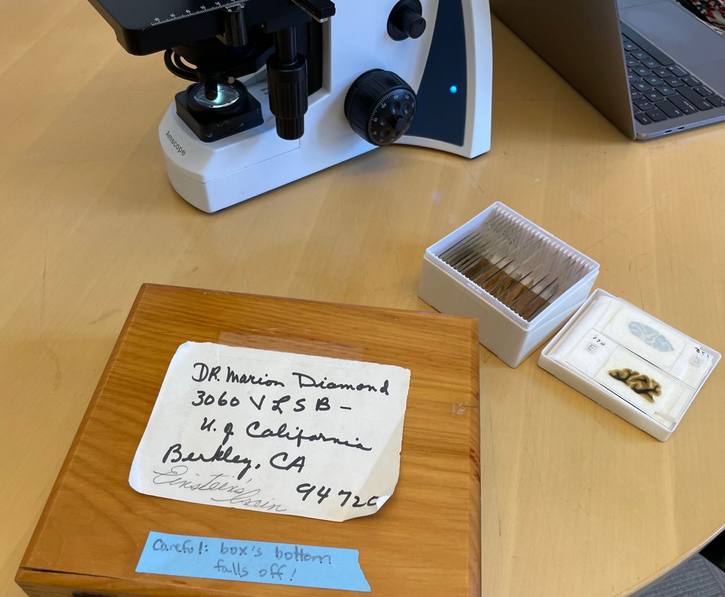 Photo shows the corner of a microscope, a box of slides, and a handwritten note that says, 