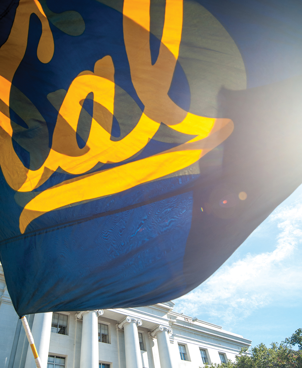 Photo of the flag waving in the wind with light illuminating through it.